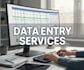 do excel data entry, copy paste and web research