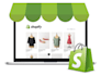 customize, create and manage shopify store