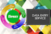 do data entry, copy paste and excel data entry work for you