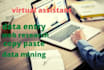 be your virtual assistant for data entry, data mining, web research, co paste