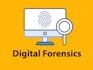 do digital forensics, security hardening and cyber tasks