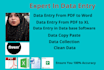 do all data type of entry in word and xl