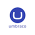 develop custom umbraco packages