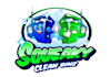design unique logo for car wash and bin cleaning