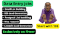 do expert web research, accurate data entry, and b2b lead generation