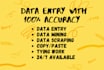 complete data entry projects with correctness