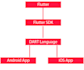 mobile application development both native and hybrid
