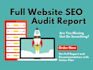do SEO technical audit for your website and help in fixing the errors