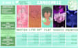 create stylised anime commissions