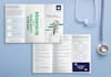 create attention grabbing brochures and reports