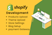 design a high converting shopify dropshipping store