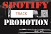 do organic spotify promotion or spotify track promotion