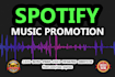 do organic spotify music track promotion