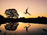 quotations that inspire and motivate
