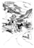 create line art illustrations black and white or colored