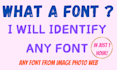 identify fonts with precision and speed for your projects