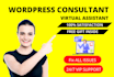 wordpress maintenance,website update,support troubleshoot