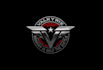 high quality wonderful security logo with express delivery