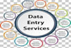 be your data entry expert