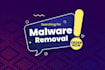 do malware removal and wordpress security updates