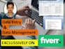 do data entry and data management