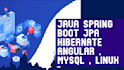 create projects in java spring boot jpa hibernate  angular , mysql , linux