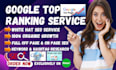 provide google top ranking service with white hat seo