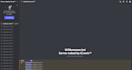 send you a python script of a discord nuke bot
