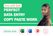 do perfect data entry and copy paste job