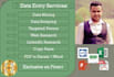 do data entry and web research  provide 24 hour service