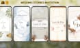 create elegant wedding invitation video