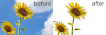 do back ground removal