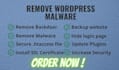 remove malware and backdoor from wordpress site