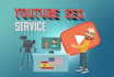 seo optimize your youtube video, description, title and tags