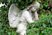 edit and provide feedback on a eulogy