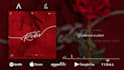 create a lyric video with your cover art