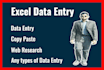do data entry, copy paste, web research, excel data entry