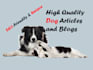 write blogs and articles about dogs, cats, and all pets