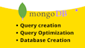 do mongodb database and queries