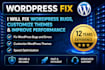fix wordpress bugs, customize themes, improve performance