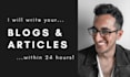 write SEO articles and blog posts within 24 hours