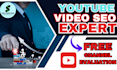 provide bulletproof youtube video and channel SEO