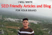 write amazing SEO friendly articles and blogs