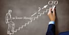provide an executive resume, cl, and linkedin profile
