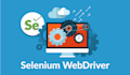 develop python selenium browser automation with scalable framework
