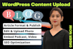 monthly manage wordpress blog posts, blog fixing as wordpress VA elementor