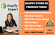build high converting shopify dropshipping store