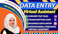 do data entry, typing, virtual assistant, convert pdf file, transcription job