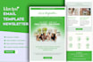 design responsive klaviyo shopify, ecommerce email templates