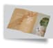 design company, bifold, trifold and flyer brochure